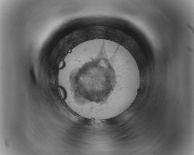 X0000103170239200809121907