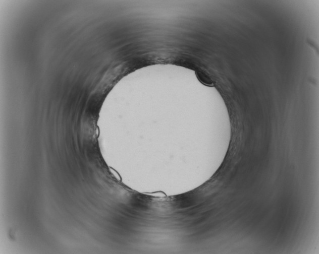 X0000103170240200809121907