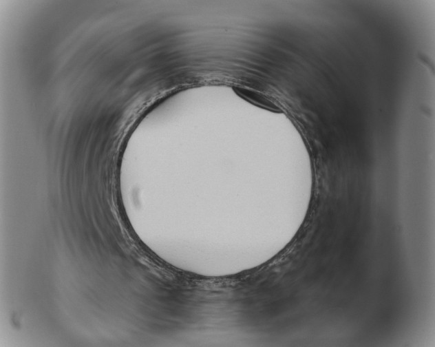 X0000103170241200809121907