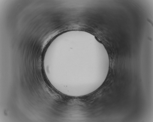 X0000103170244200809121907