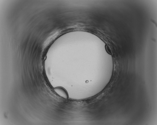 X0000103170245200809121907