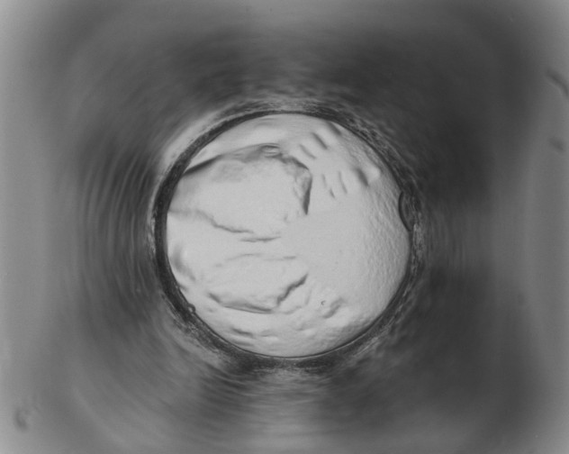 X0000103170246200809121907