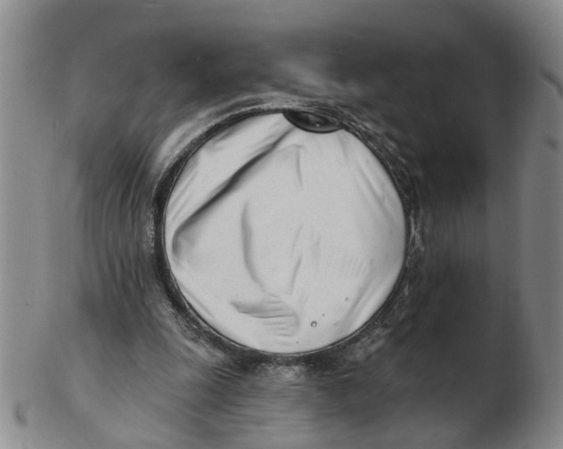 X0000103170247200809121907