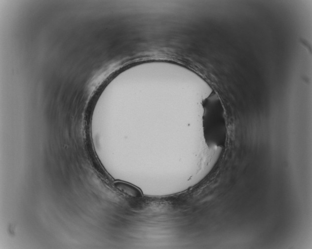 X0000103170248200809121907