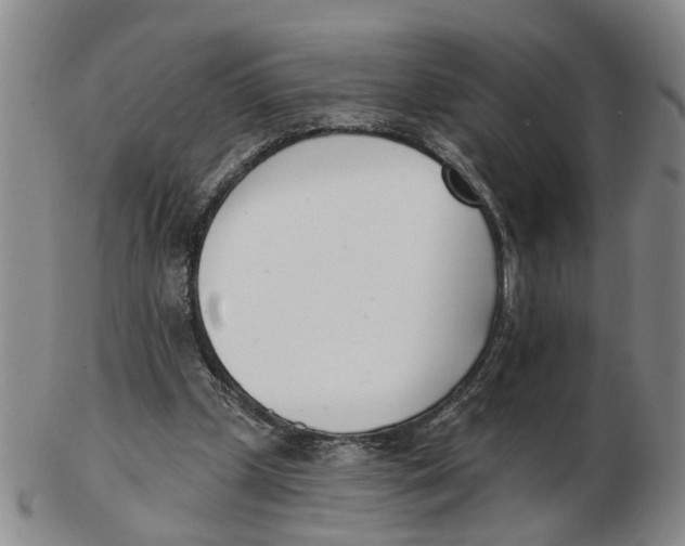 X0000103170249200809121907