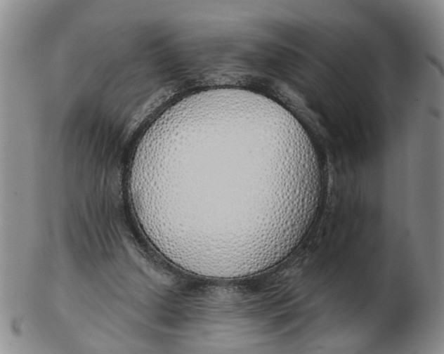 X0000103170250200809121907