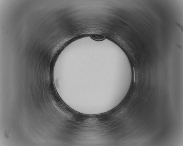 X0000103170252200809121907