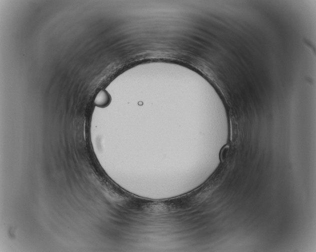 X0000103170253200809121907