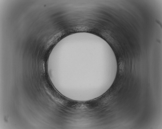 X0000103170254200809121907