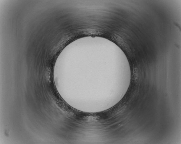 X0000103170255200809121907