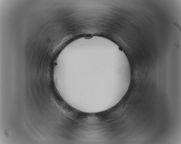 X0000103170256200809121907