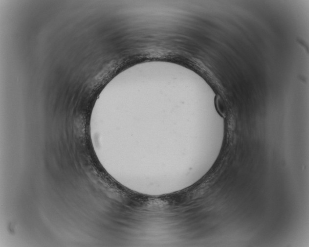 X0000103170257200809121907