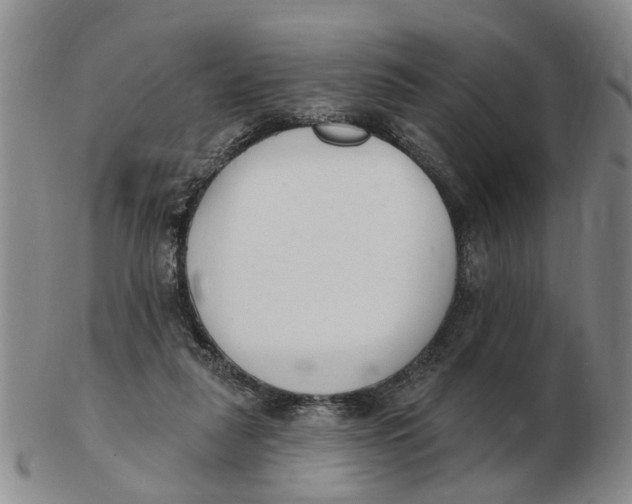 X0000103170259200809121907