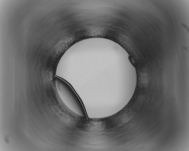 X0000103170260200809121907