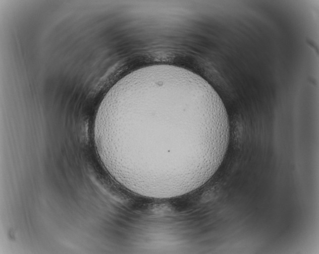 X0000103170262200809121907