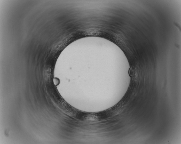 X0000103170263200809121907