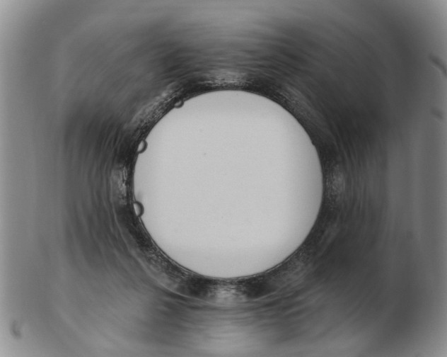 X0000103170264200809121907