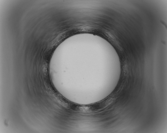 X0000103170265200809121907