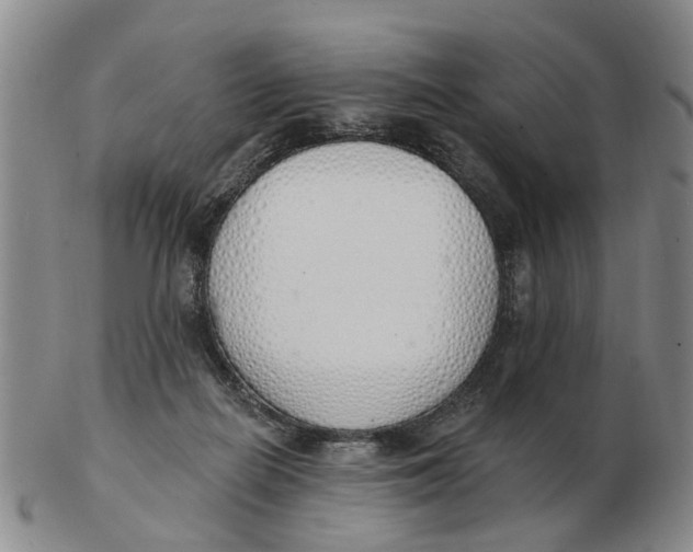 X0000103170266200809121907