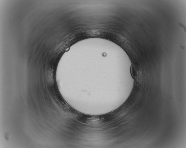 X0000103170267200809121907