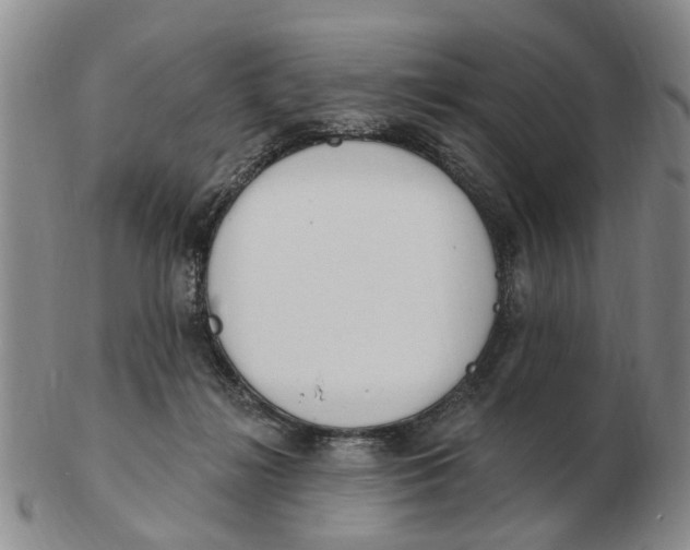 X0000103170268200809121907