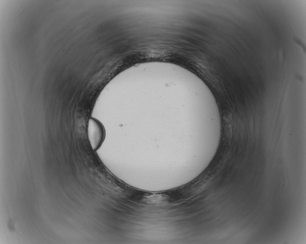 X0000103170269200809121907