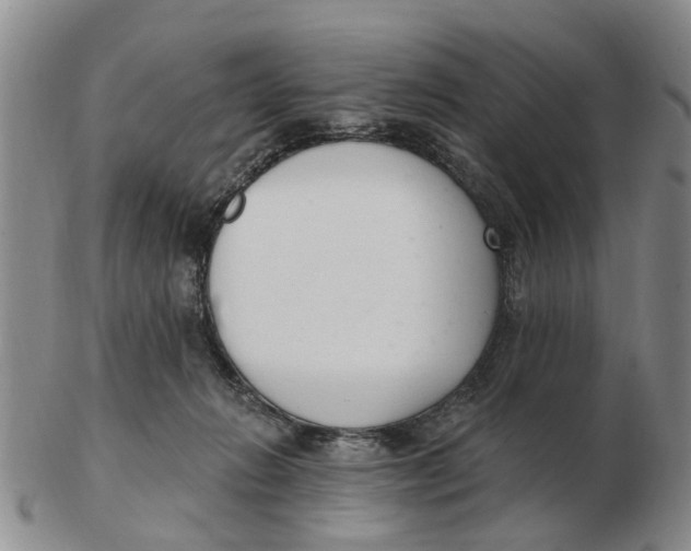 X0000103170270200809121907