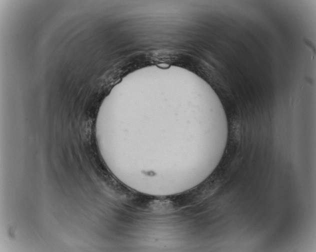 X0000103170271200809121907