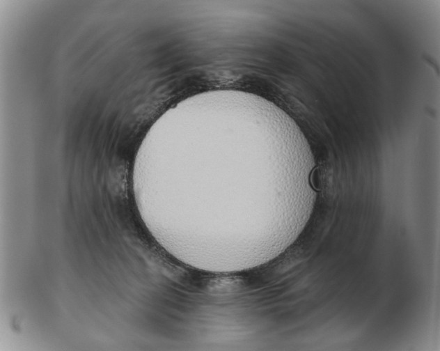 X0000103170274200809121907