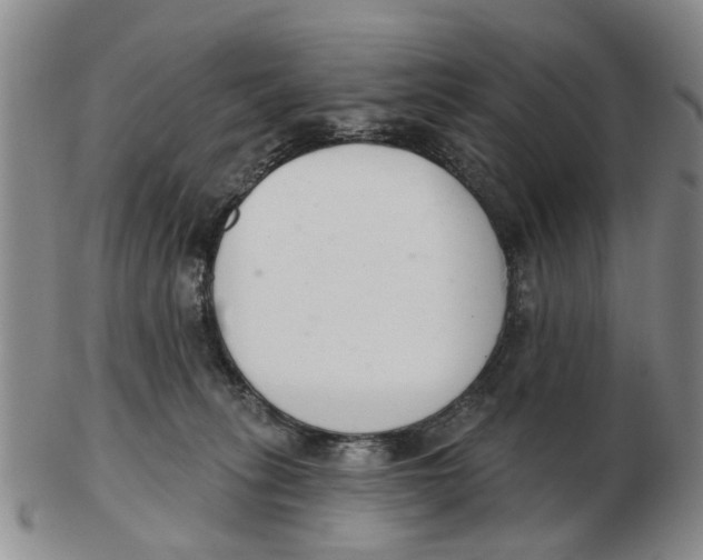 X0000103170275200809121907