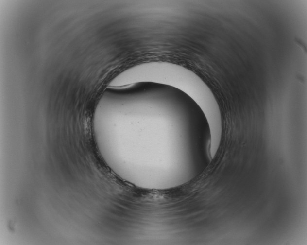 X0000103170276200809121907