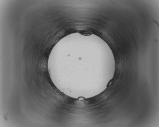 X0000103170277200809121907