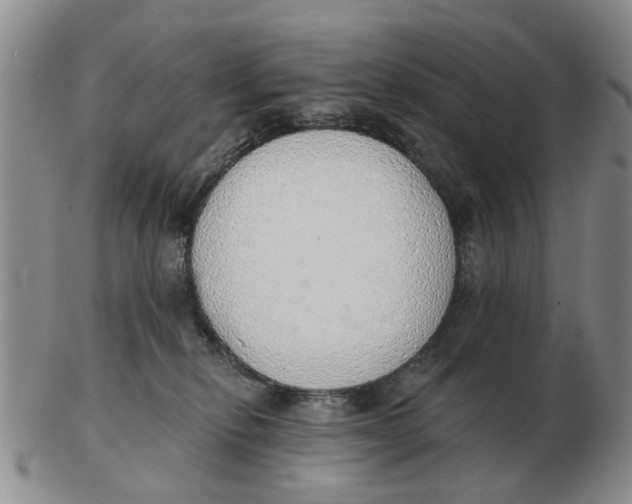 X0000103170278200809121907