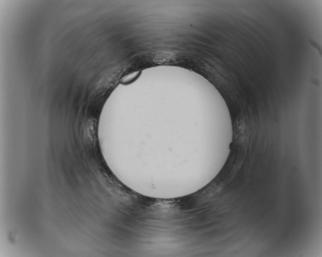 X0000103170280200809121907