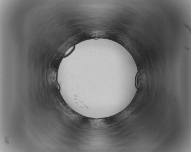 X0000103170281200809121907