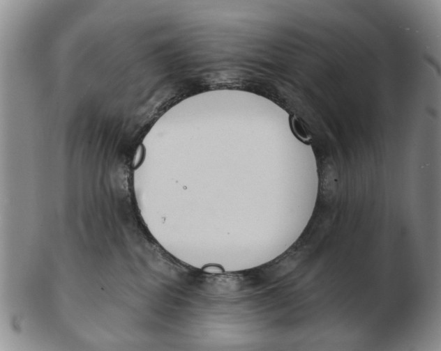 X0000103170282200809121907