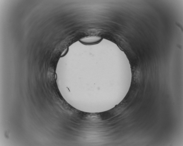 X0000103170283200809121907