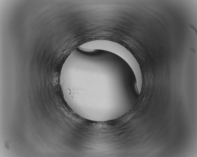 X0000103170284200809121907