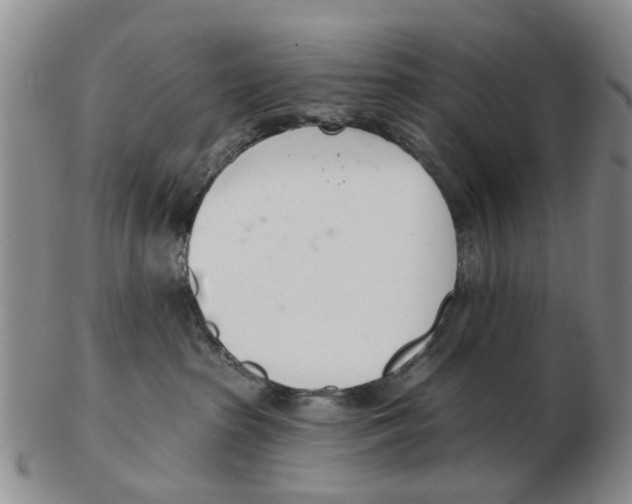 X0000103170285200809121907