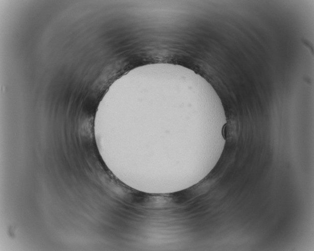 X0000103170286200809121907