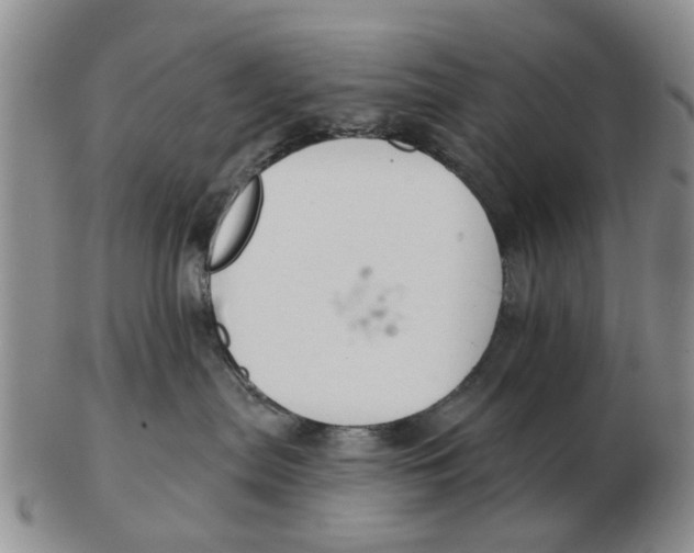 X0000103170287200809121907