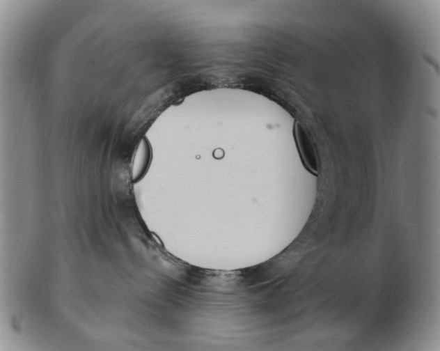 X0000103170288200809121907