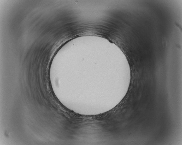 X0000103170289200809121907