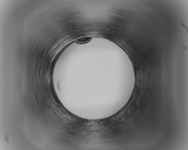 X0000103170290200809121907