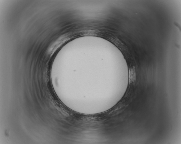 X0000103170291200809121906