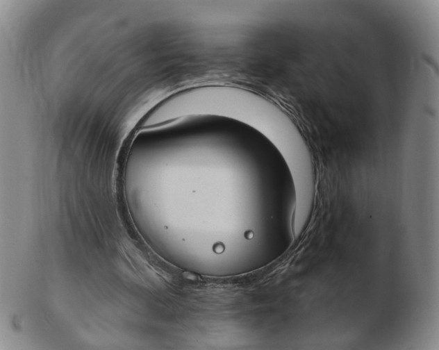 X0000103170292200809121906