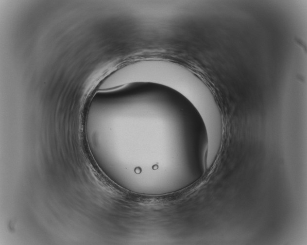 X0000103170293200809121906