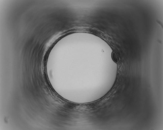 X0000103170294200809121906