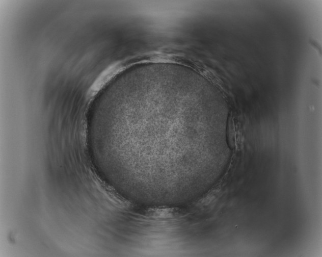 X0000103170295200809121906