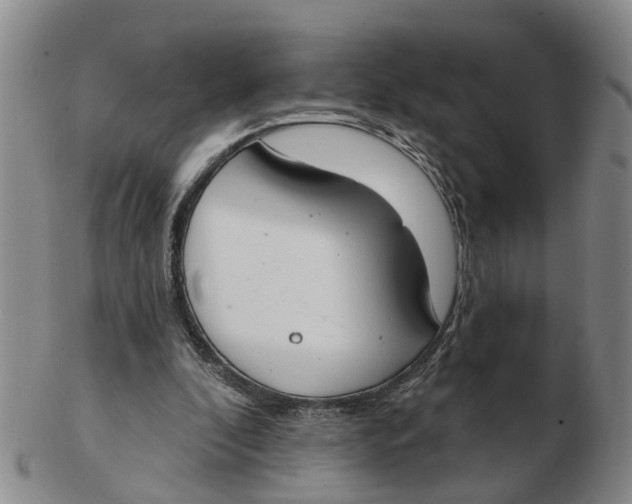 X0000103170296200809121906